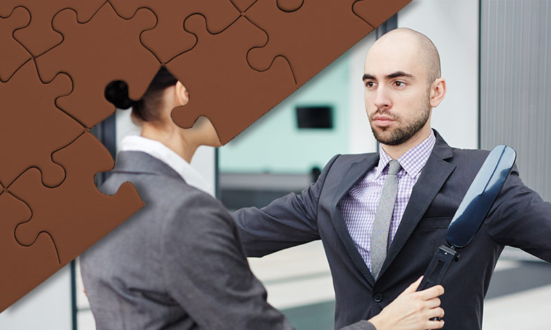 Security Consultant Solutions - Security Licensing Program